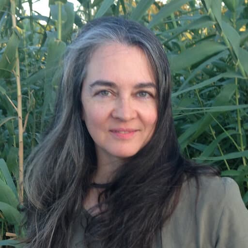 author & Pleiadian contactee Maryann Rada