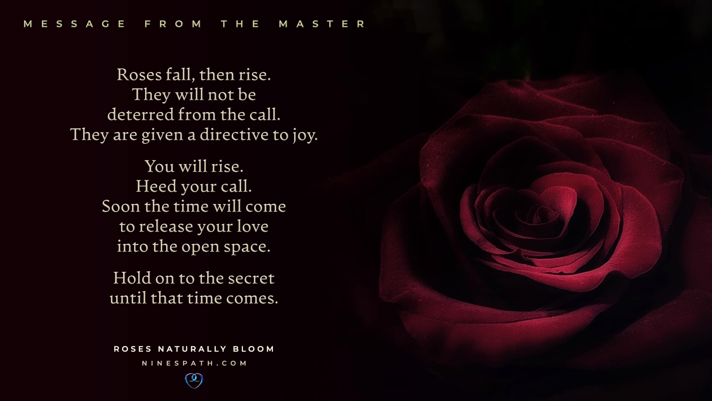 Nine's Path Order Master roses